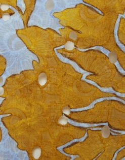 Drawstring Skirt Tangle Light Blue In Printed Lace -Fashion Clothing SKI0098EMB031TAN01 BU01 9