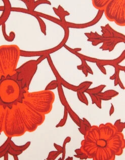 Fonda Bottom Dragonflower Mini Red In Lycra 11 Fonda Bottom Dragonflower Mini Red In Lycra -Fashion Clothing SWI0075LYC001DRE02 RE01 7