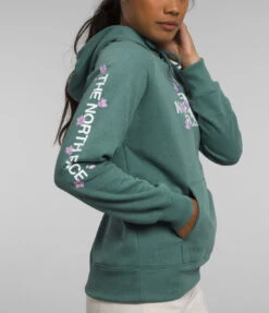 The North Face Brand Proud Hoodie -Fashion Clothing The North Face Brand Proud Hoodie DARKSAGE 2 31368.1710519017