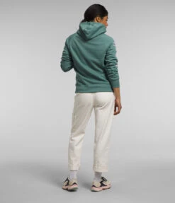 The North Face Brand Proud Hoodie -Fashion Clothing The North Face Brand Proud Hoodie DARKSAGE 3 18768.1710519022