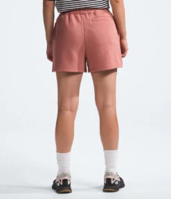 The North Face Evolution Shorts -Fashion Clothing The North Face Evolution Shorts LTMAHOGA 4 31021.1710522915