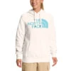 The North Face Half Dome Pullover Hoodie